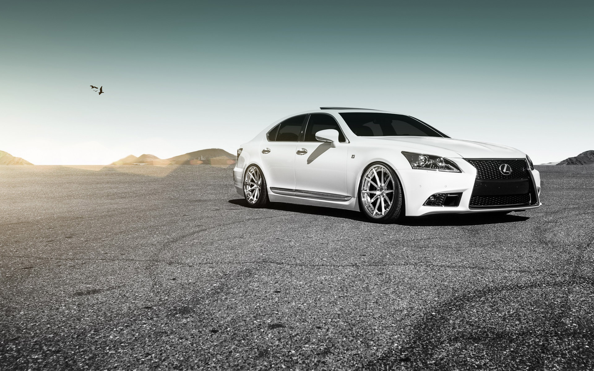 Petridis Cars